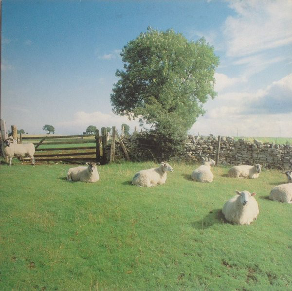Cover art for The KLF's "Chill Out" album featuring sheep mostly lying down in a field, in front of a dry stone wall, gate, and small tree.